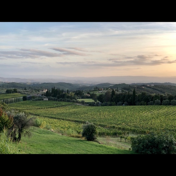 Meet your Posher, Sheryl - Picture 3 of 4